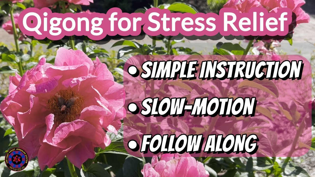 Stop Anxiety and Stress with these 8 Qigong Exercises - LEARN THIS NOW