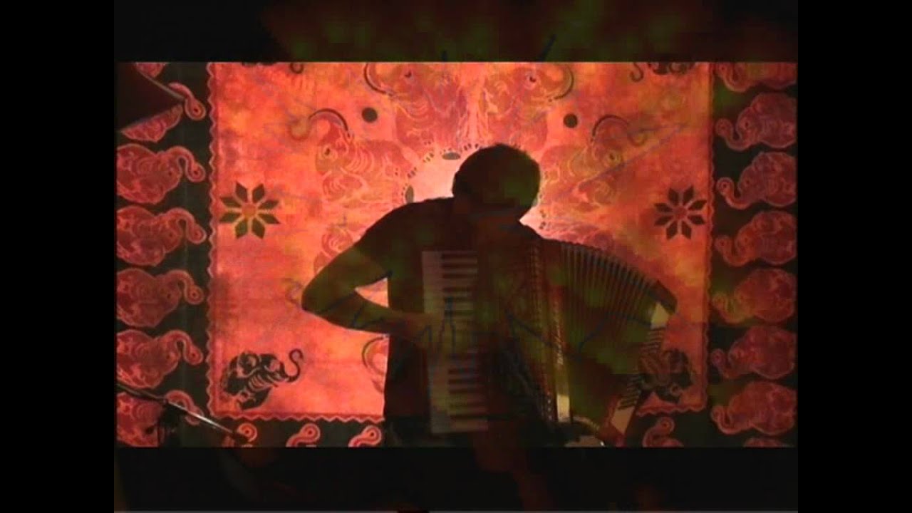 The Animals - House of the Rising Sun ( accordion - cover )