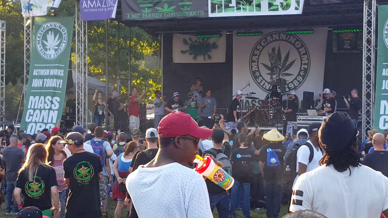 Boston Freedom Rally 2017 Mendo Dope