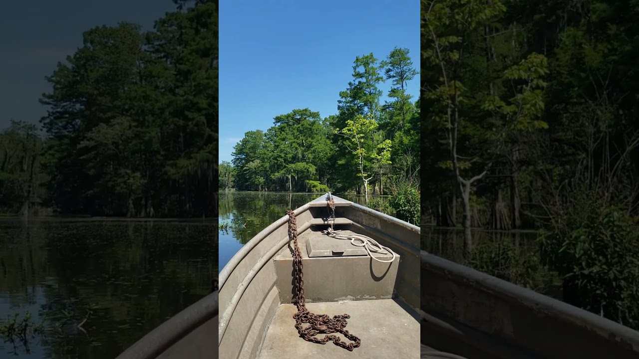Pierre Part Louisiana Swamp #shorts #shortsvideo #louisiana #swamppeople