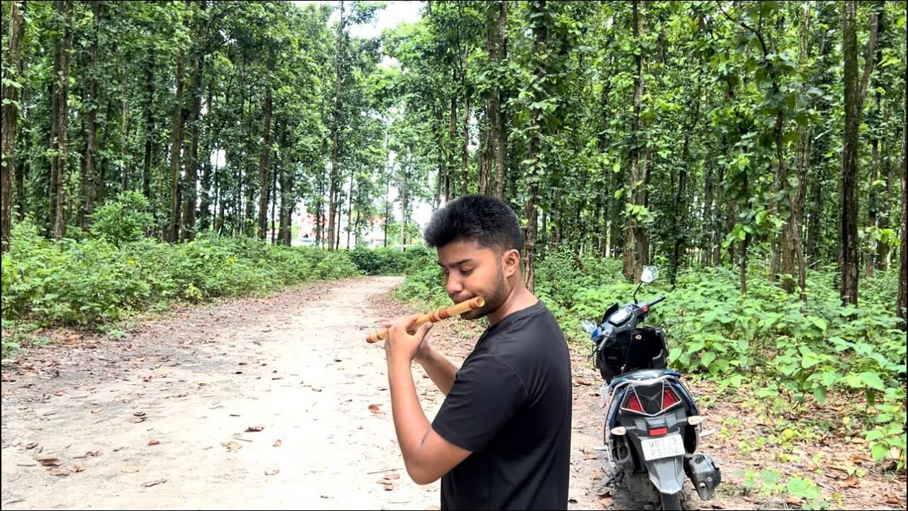 Krishna theme song Flute cover || in jungle|| Mahabharat || music ||