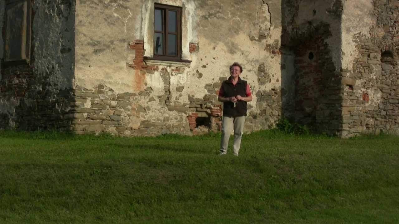 Ringov kaštiel v Pečovské Nové Vsi