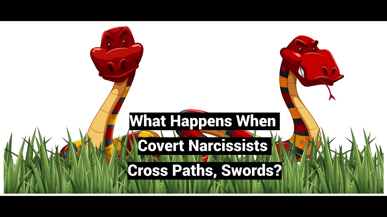 When Covert Narcissists Cross Paths, Swords