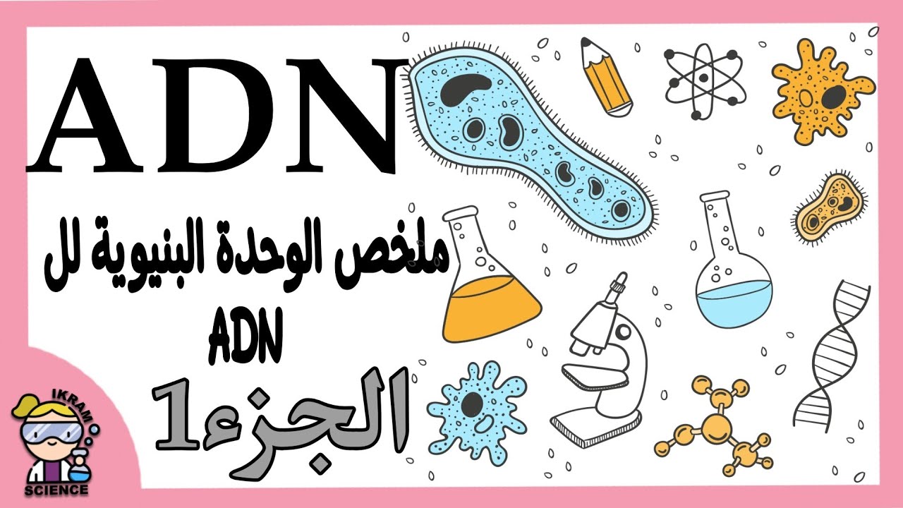 ملخص الوحدة البنيوية للADN 🧪🧫🧬 الجزء1