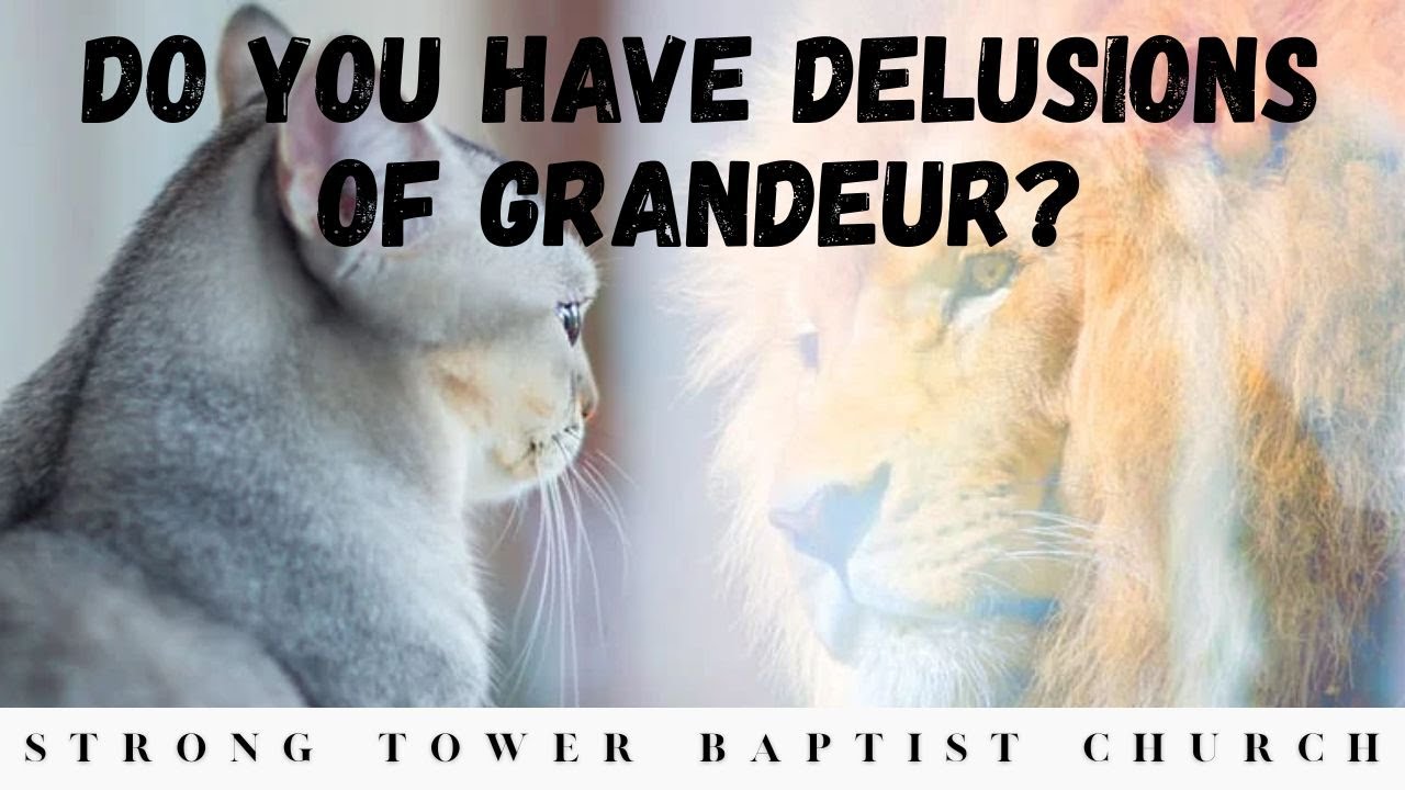 Do You Have Delusions Of Grandeur | STBC
