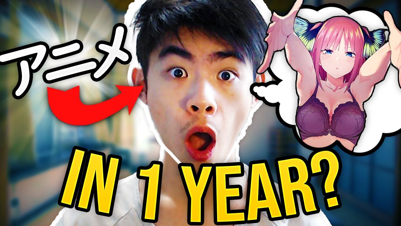 I learned Japanese for 1 Year using Anime (Immersion/MIA/Refold/AJATT)