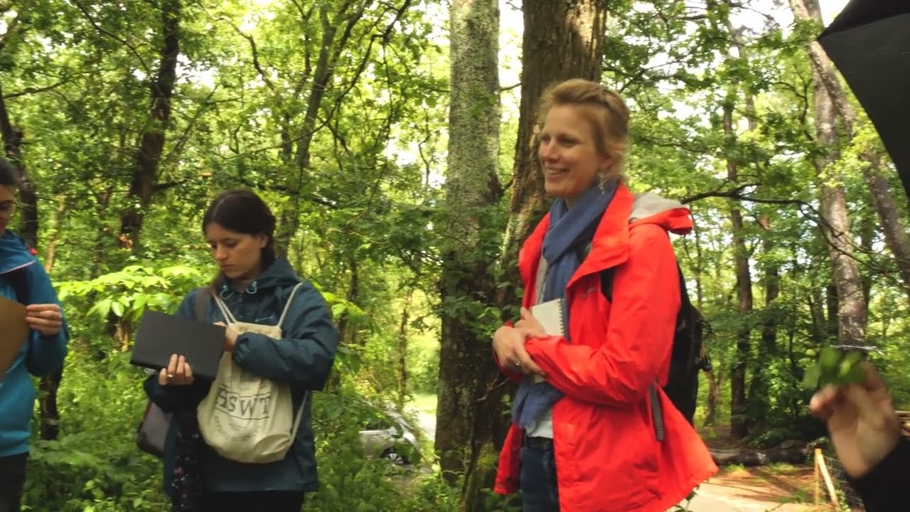 Ateliers et stages cueillette plantes sauvages comestibles en Pays de Loire
