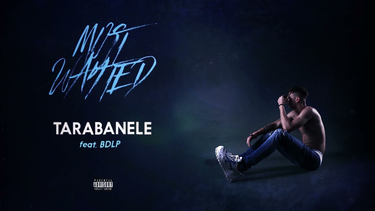 YNY Sebi ⓧ @BogdanDLP - Tarabanele 🎧 Audio