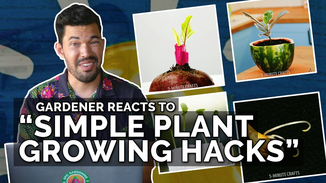 Gardener Reacts to 