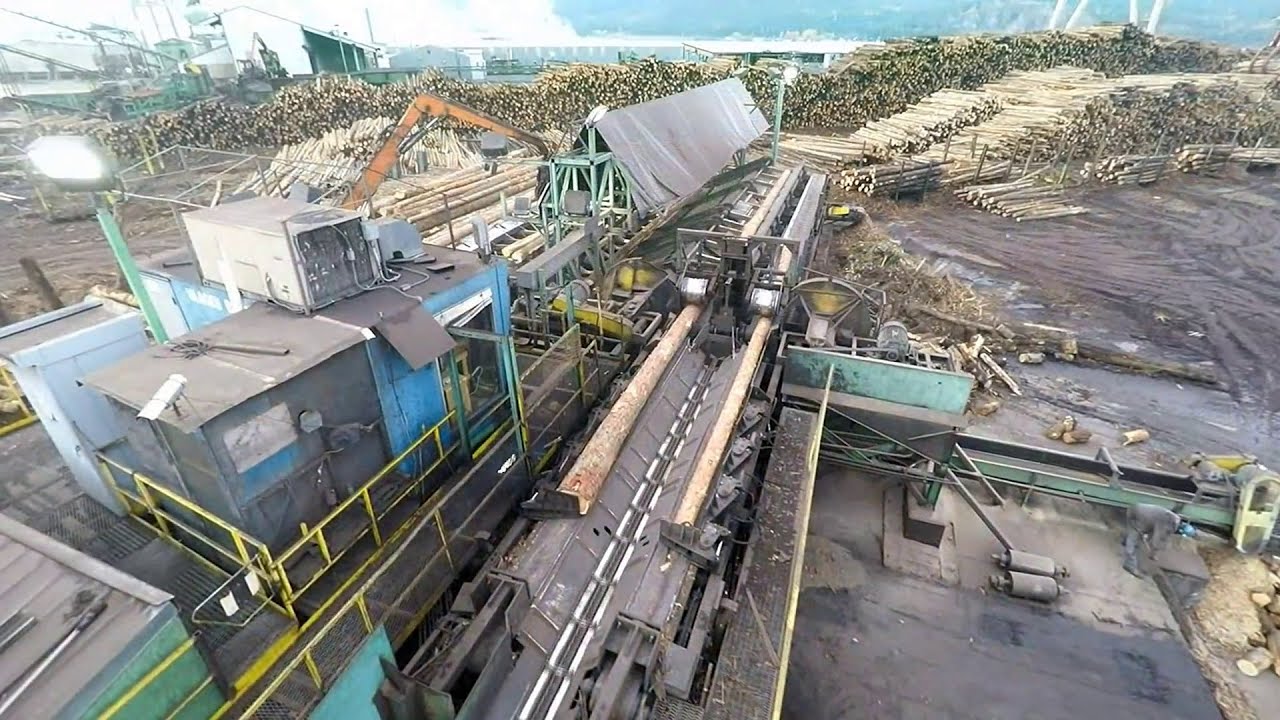Amazing Wood Cutting Machine | Automated Sawmill