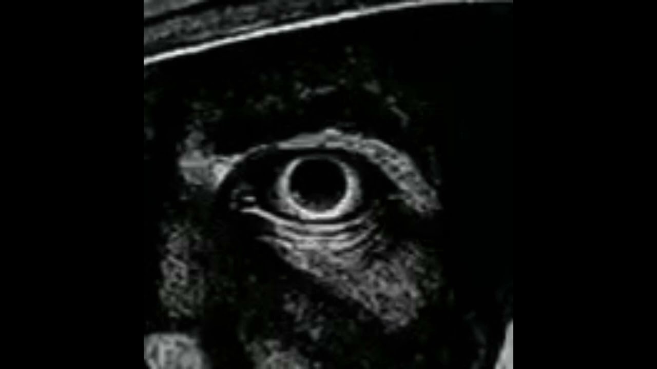 Ambience of the Lurking Night