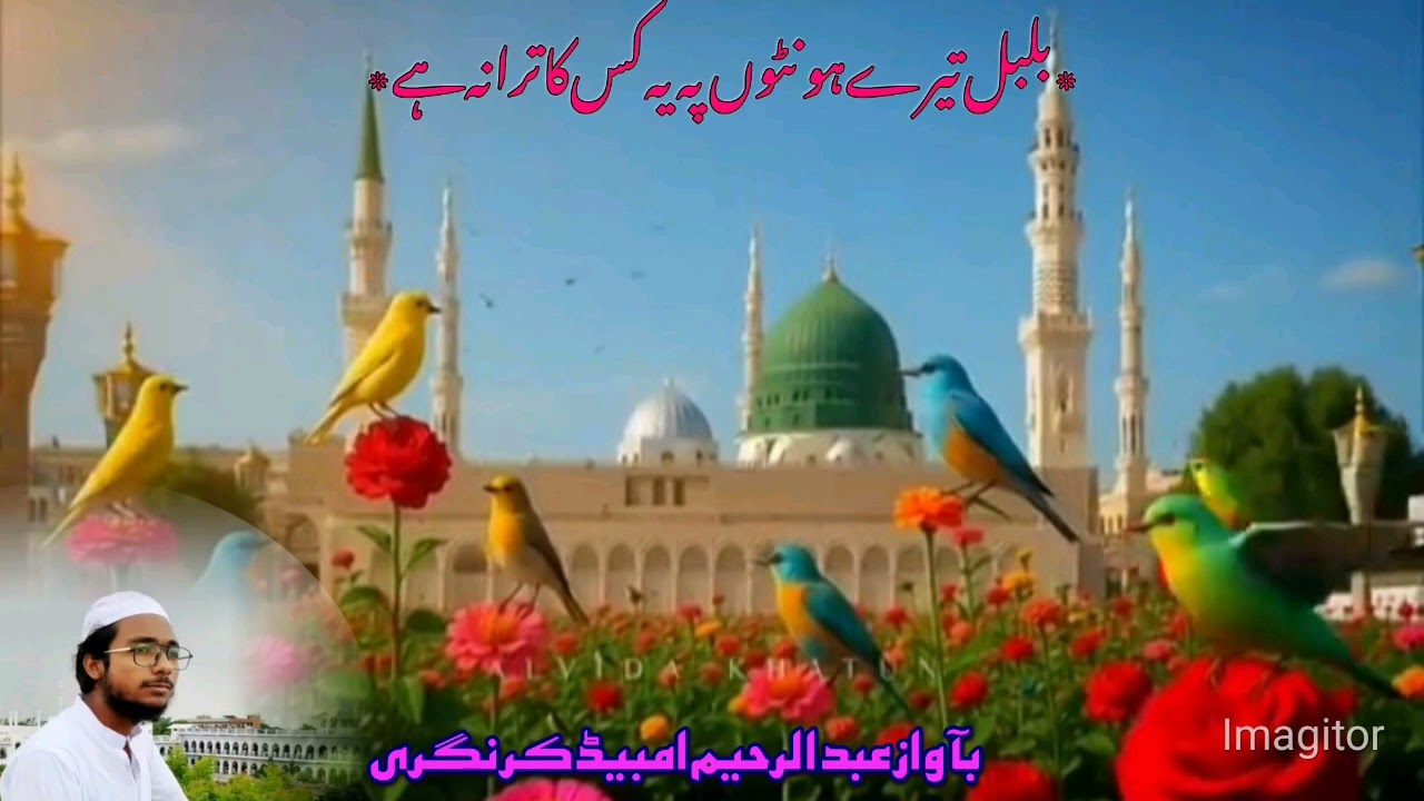 نیا کلام ایک بار ضرور سنیں دل باغ باغ ہو جائے گا ❤️❣️👍