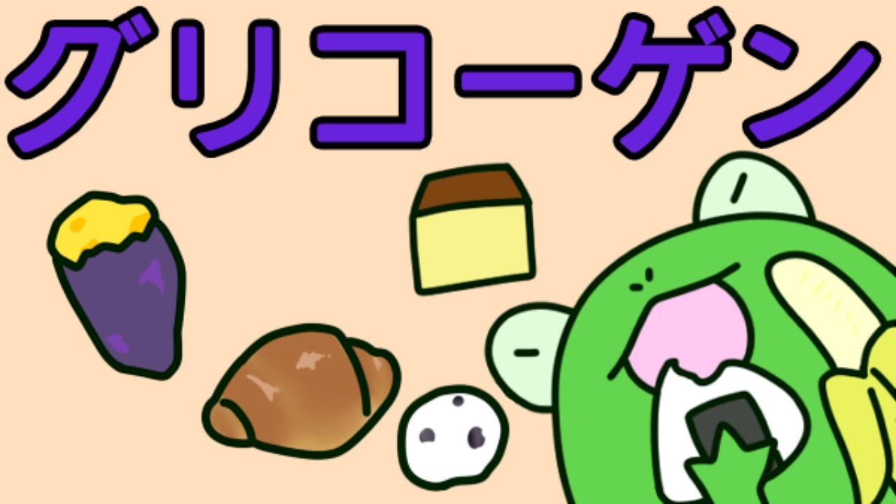 【管理栄養士】　グリコーゲン代謝についての解説講座