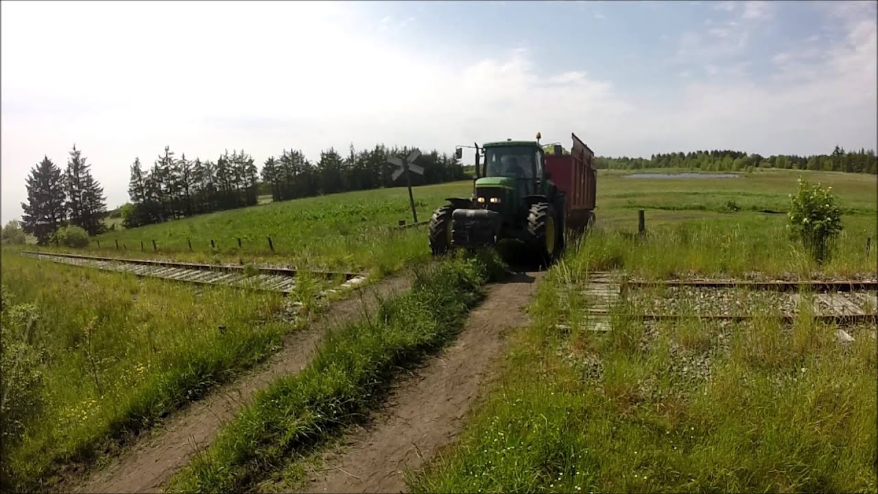 Græs 2015