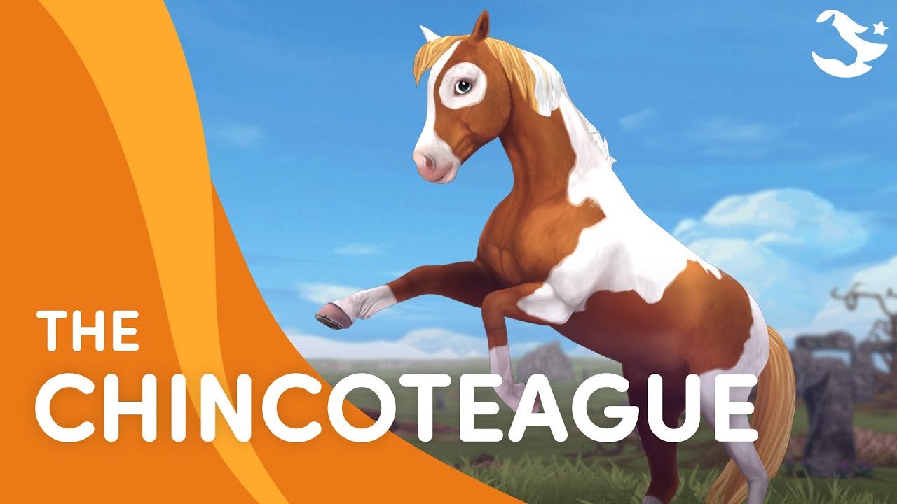 The Chincoteague Pony 🙌🤩  | Star Stable Breeds