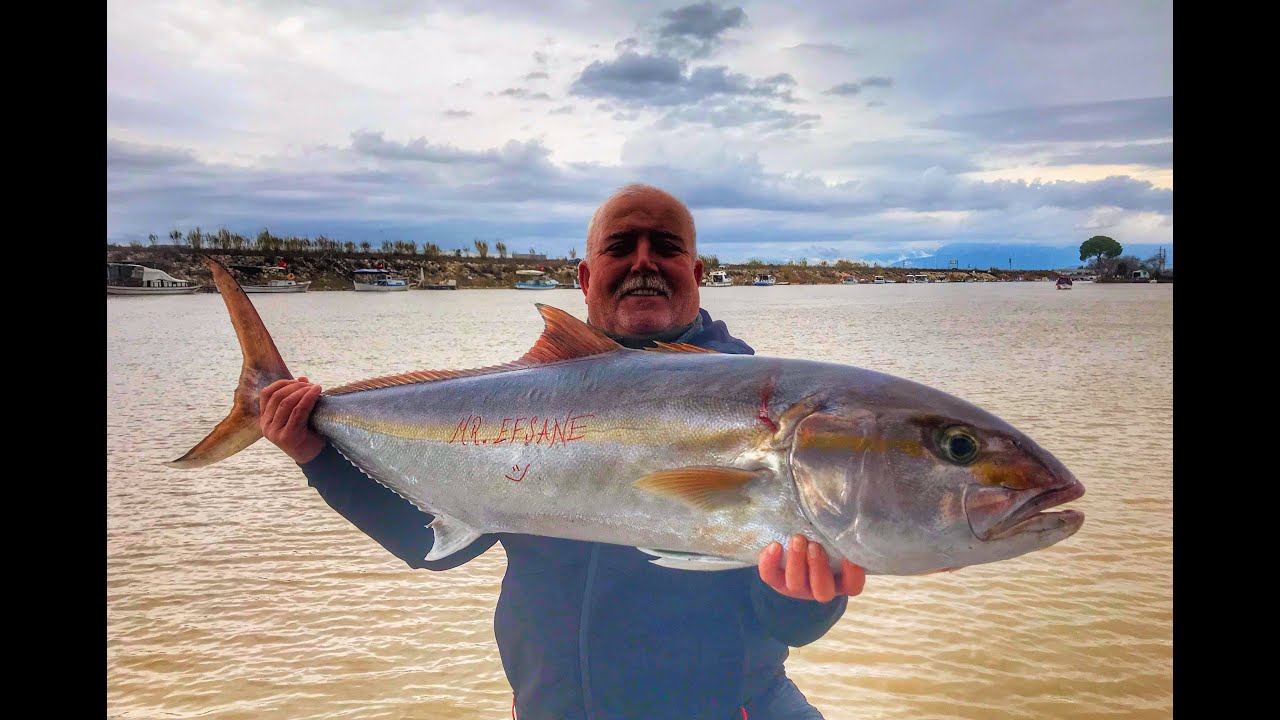 DEEP DROP FİSHİNG AMBERJACK / DAİWA TANACOM ELECTRİC 1000