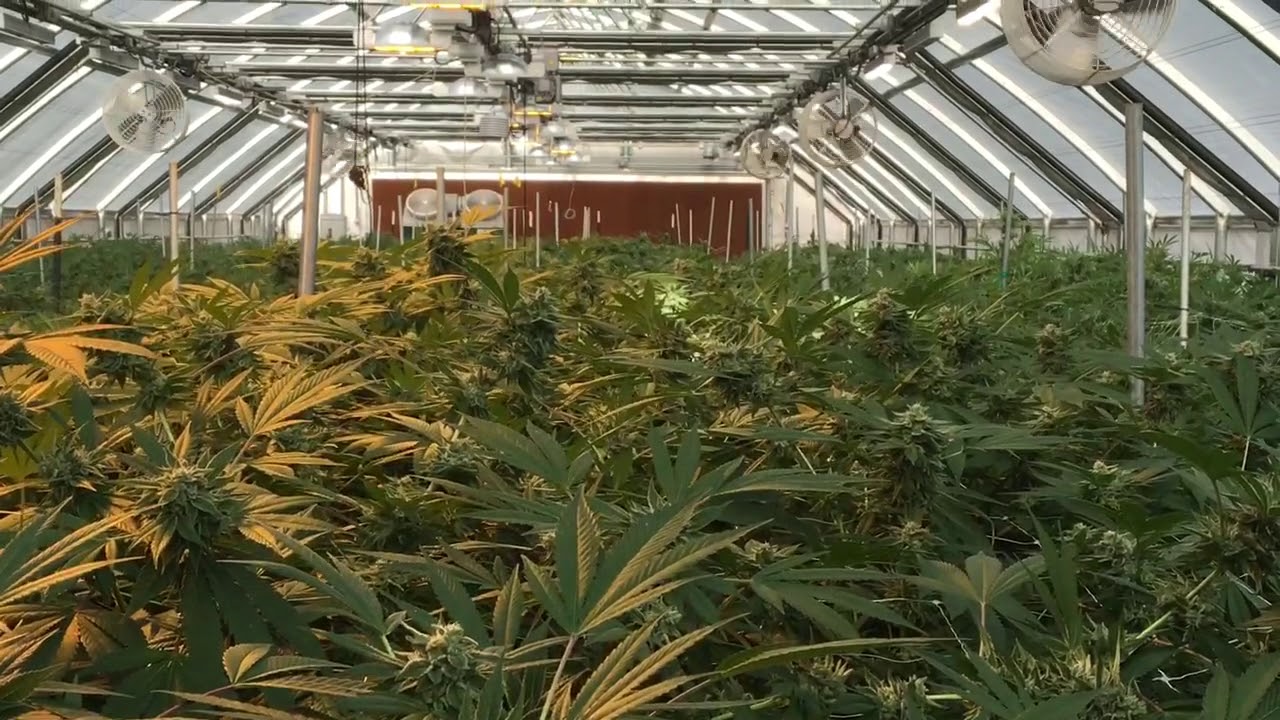 Heroes Of The Farm Greenhouse!!