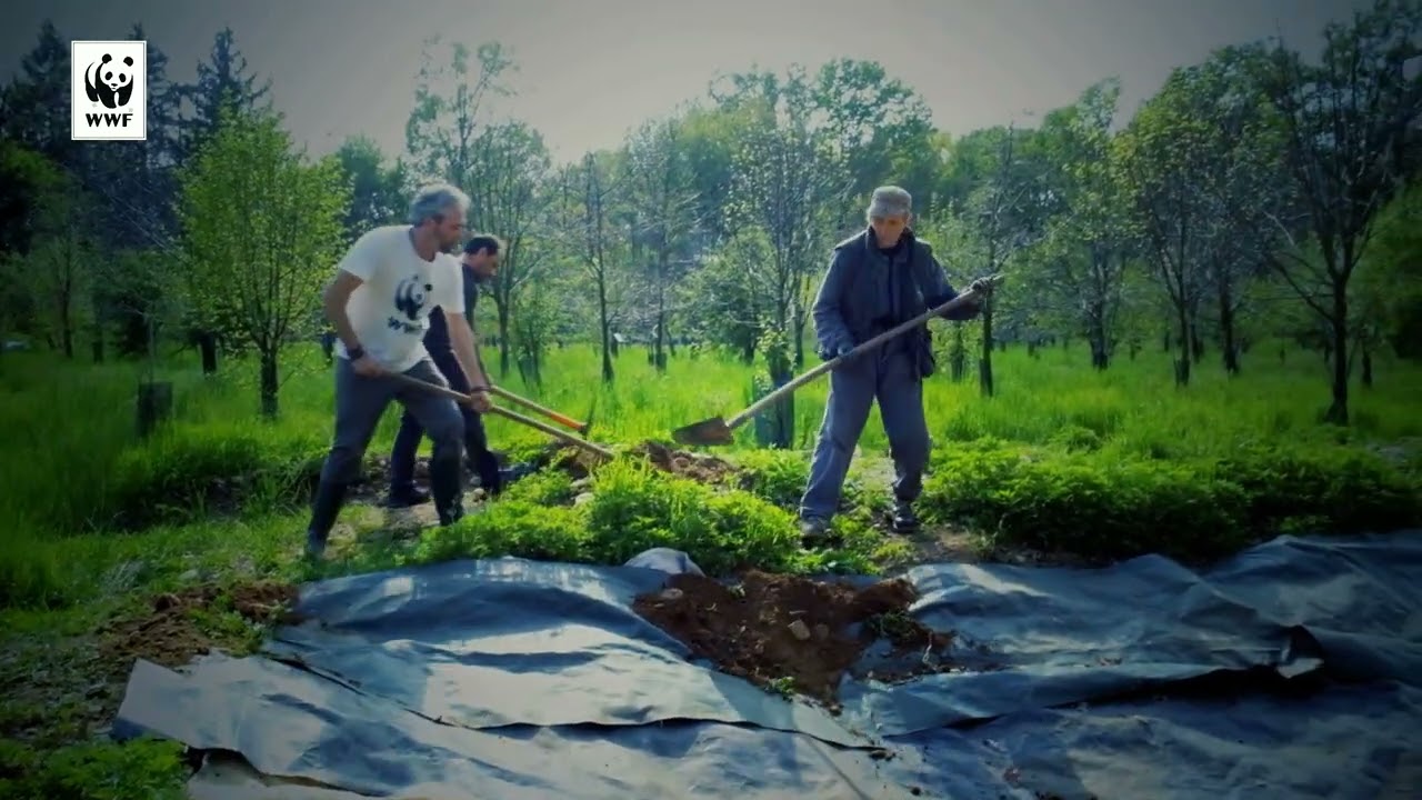 WWF Sicilia N.O.: le zone umide, un immenso valore ambientale che rischiamo di perdere