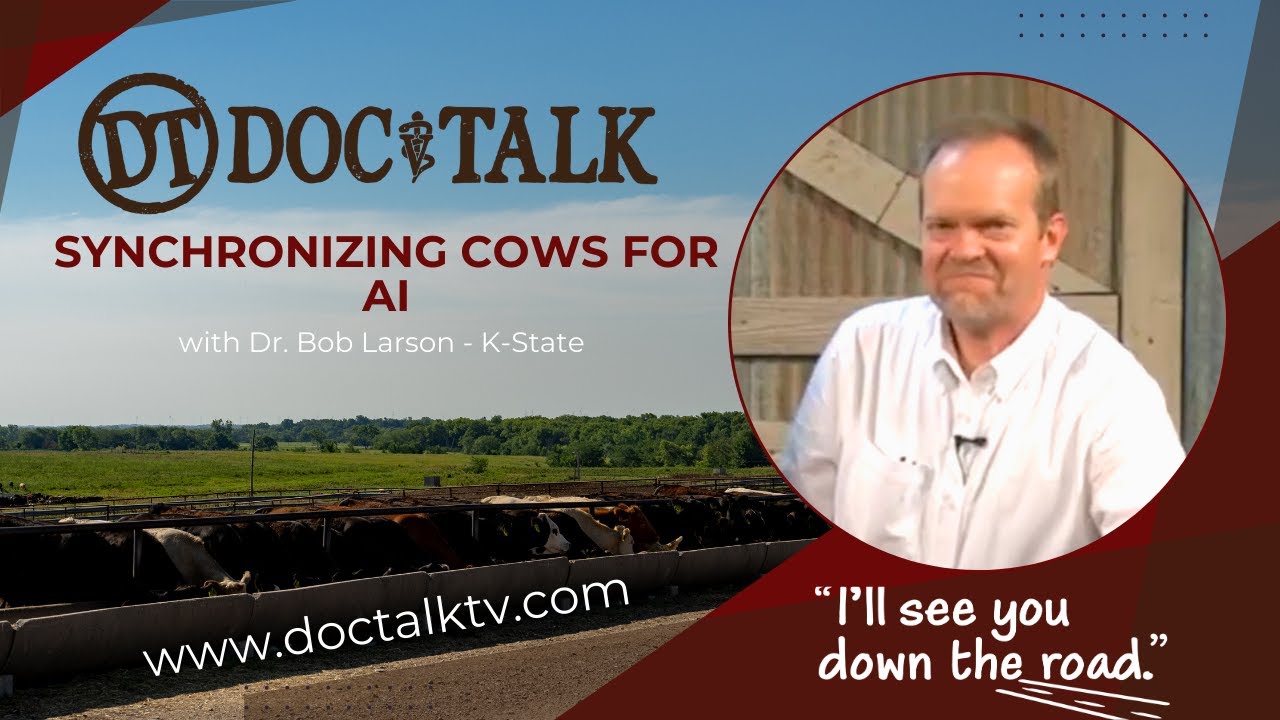 DocTalk Ep 262 - Synchronizing Cows for AI with Dr. Bob Larson