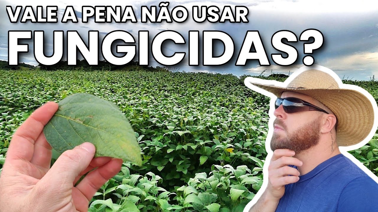 Análise: Soja com Fungicida e a Soja sem aplicações 