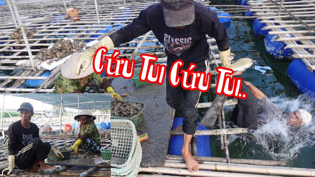 Bà 8 Phong Cực Vui Khi Troll Được 10 Râu Vố Này Cho Chừa Hết Troll