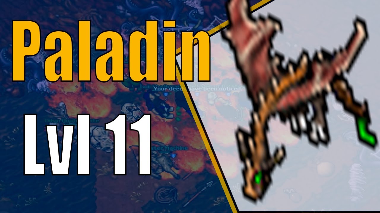 RP 11 Vs Wyvern - Tibia Battle #1