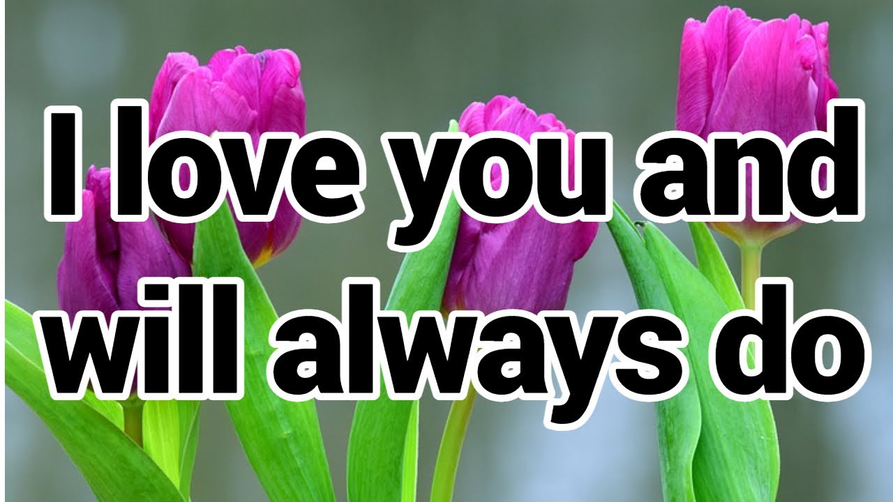 There are many reasons to why I love you so much in life, I love you and will always do.