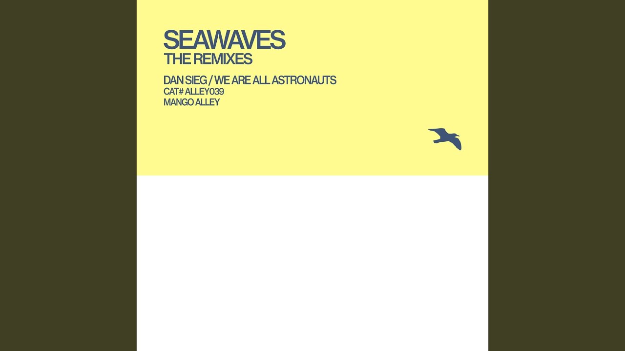 Images (We Are All Astronauts Remix)