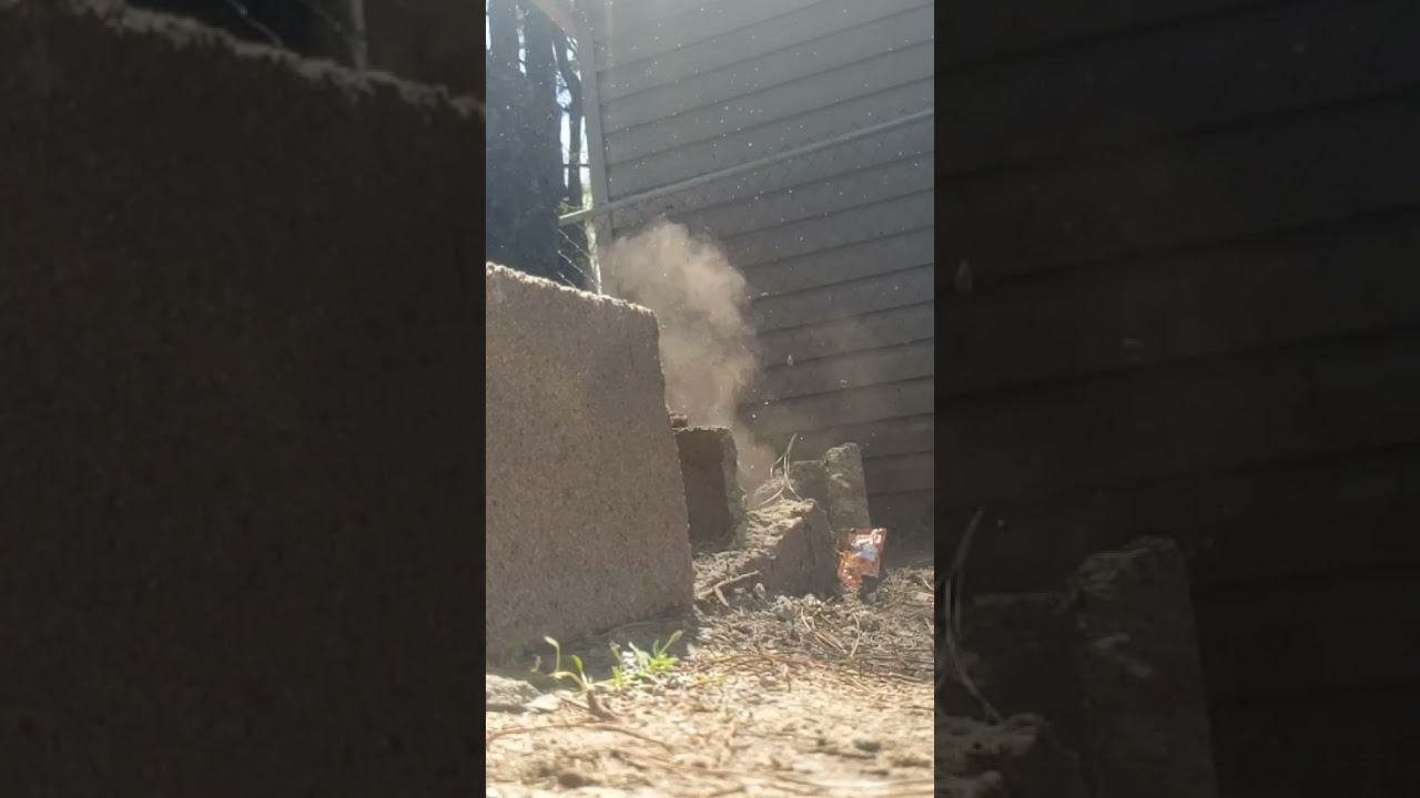 ruger impact max elite