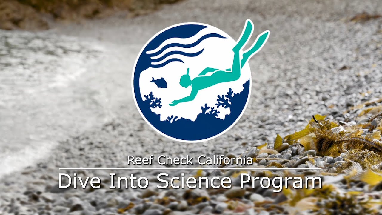 Reef Check Dive into Science Program