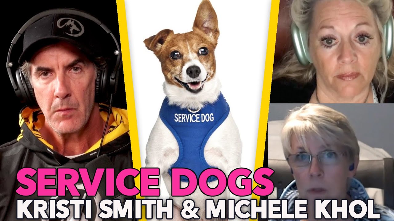 What is a Service Dog? - Real or Fake and What's the Difference - Episode 105