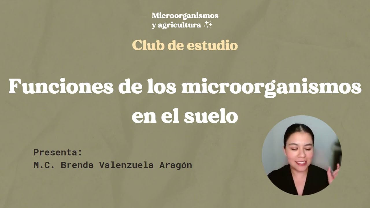 Funciones de los microorganismos en el suelo
