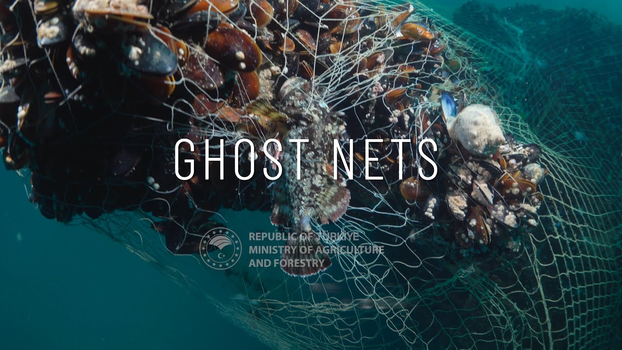 GHOST NETS