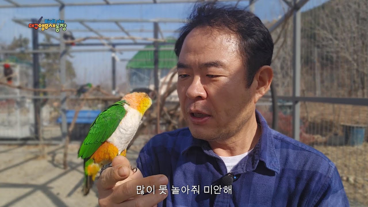 대구앵무새농장은 현재 야생동물영업허가 기준에 맞추기 위해 리모델링중입니다
