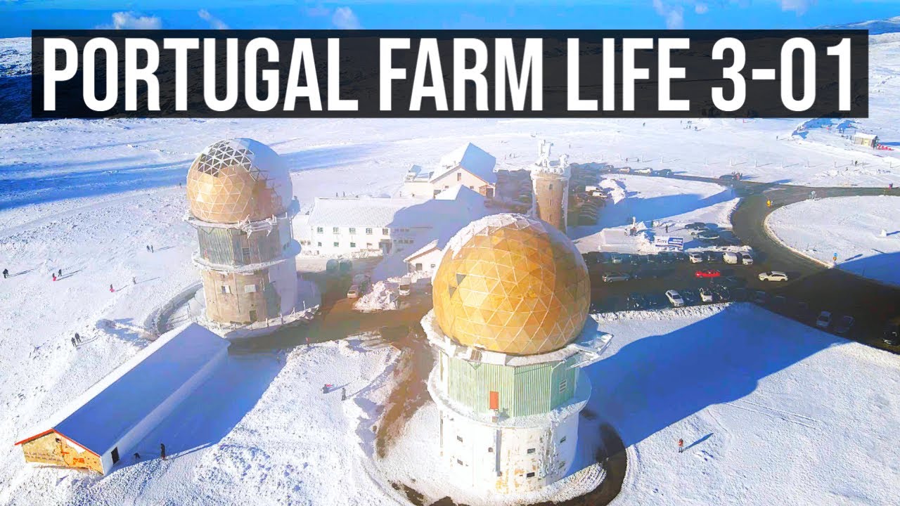 В Португалии идёт снег? | ПОРТУГАЛЬСКАЯ ФЕРМЕРСКАЯ ЖИЗНЬ S3-01❄