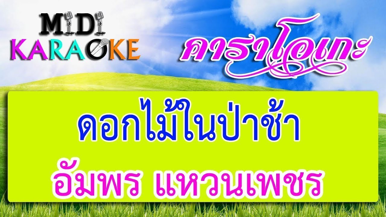 ดอกไม้ในป่าช้า - อัมพร แหวนเพชร | MIDI KARAOKE มิดี้ คาราโอเกะ