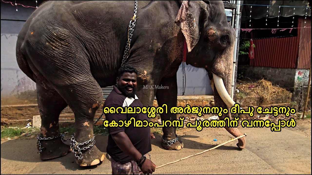 അർജുനനും ദീപു ചേട്ടനും കോഴിമാംപറമ്പ് Kozhimamparambu Pooram 2026 | Vylassery Arjunan | Cheruthuruthy