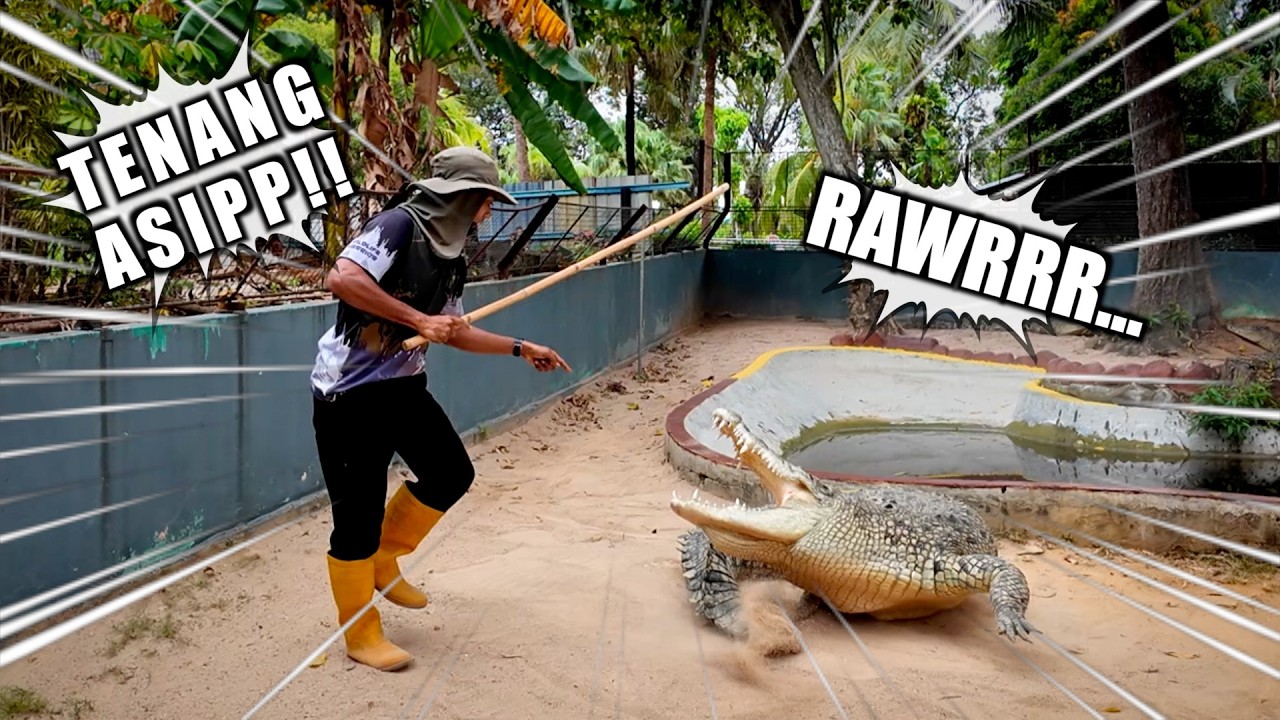 Mengajar Buaya Menoleh dan Reverse