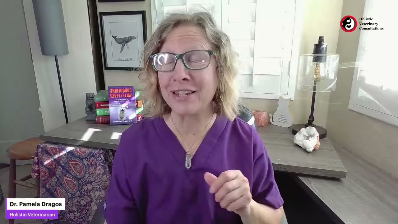 Recognizing Valley Fever in Dogs