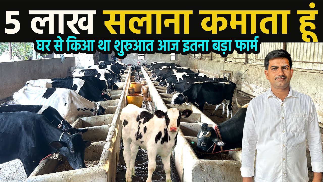 dairy business kaise shuru kare॥how to start dairy farm business॥dairy farming