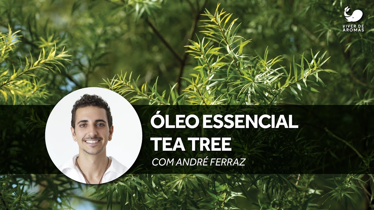ÓLEO DE MELALEUCA - BENEFÍCIOS DO ÓLEO ESSENCIAL DE TEA TREE | ANDRÉ FERRAZ AROMATERAPIA