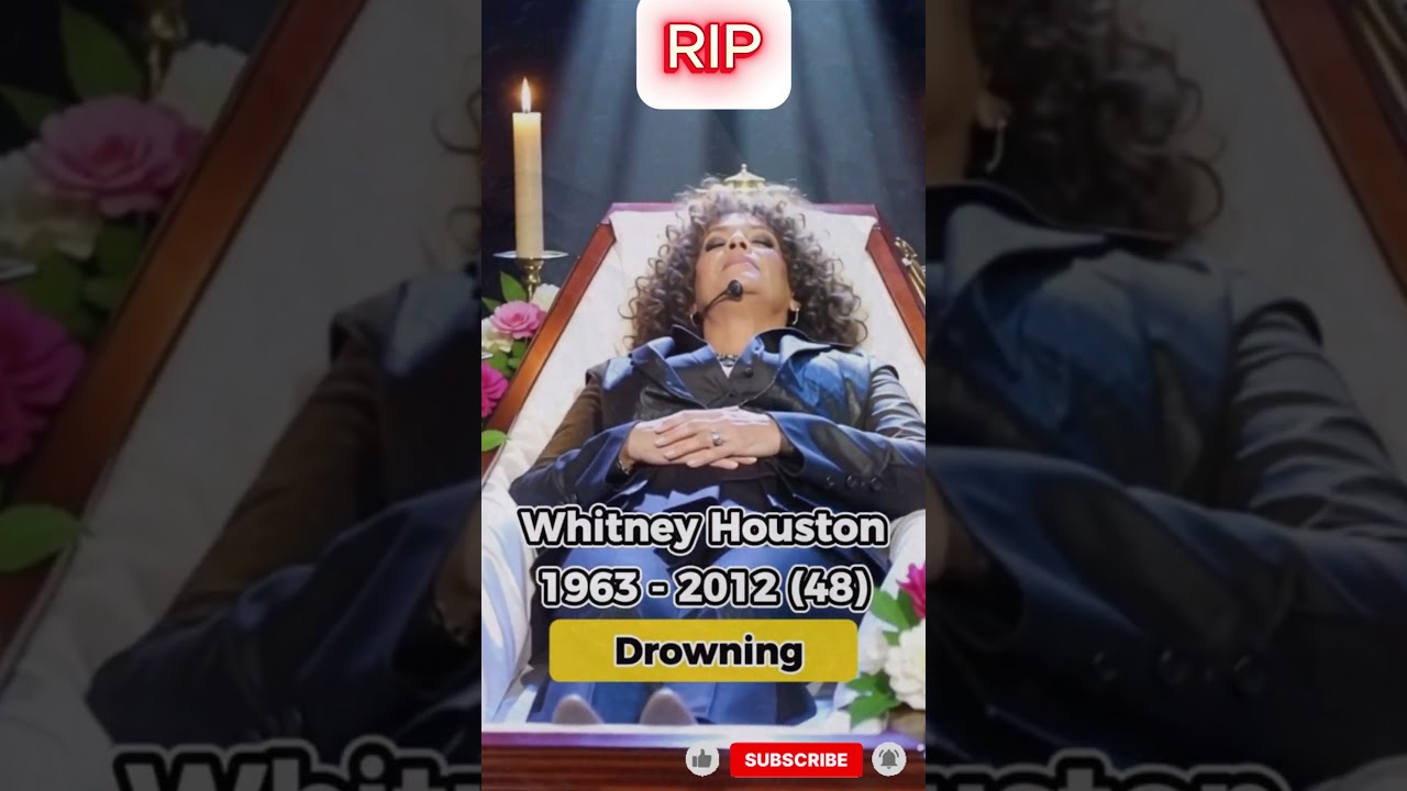 Remembering 7 Music Legends | Tribute to Icons We Lost 