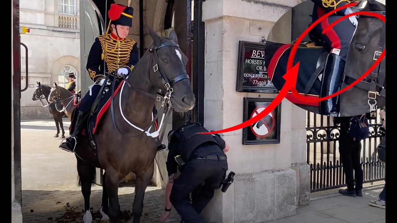 Unexpected Royal Scene: Brave Officer Recovers Guard&rsquo;s Dropped Money 💰