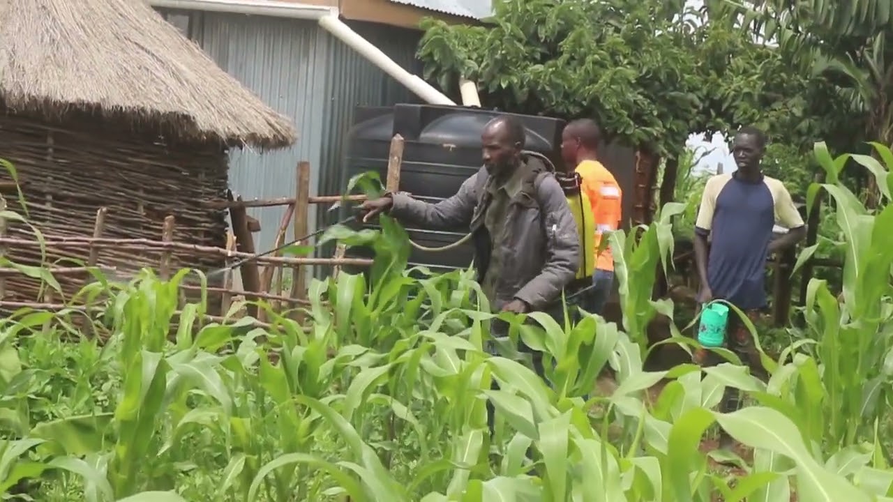Gathimba Edwards Foundation (GEF): Wellbeing support through farming