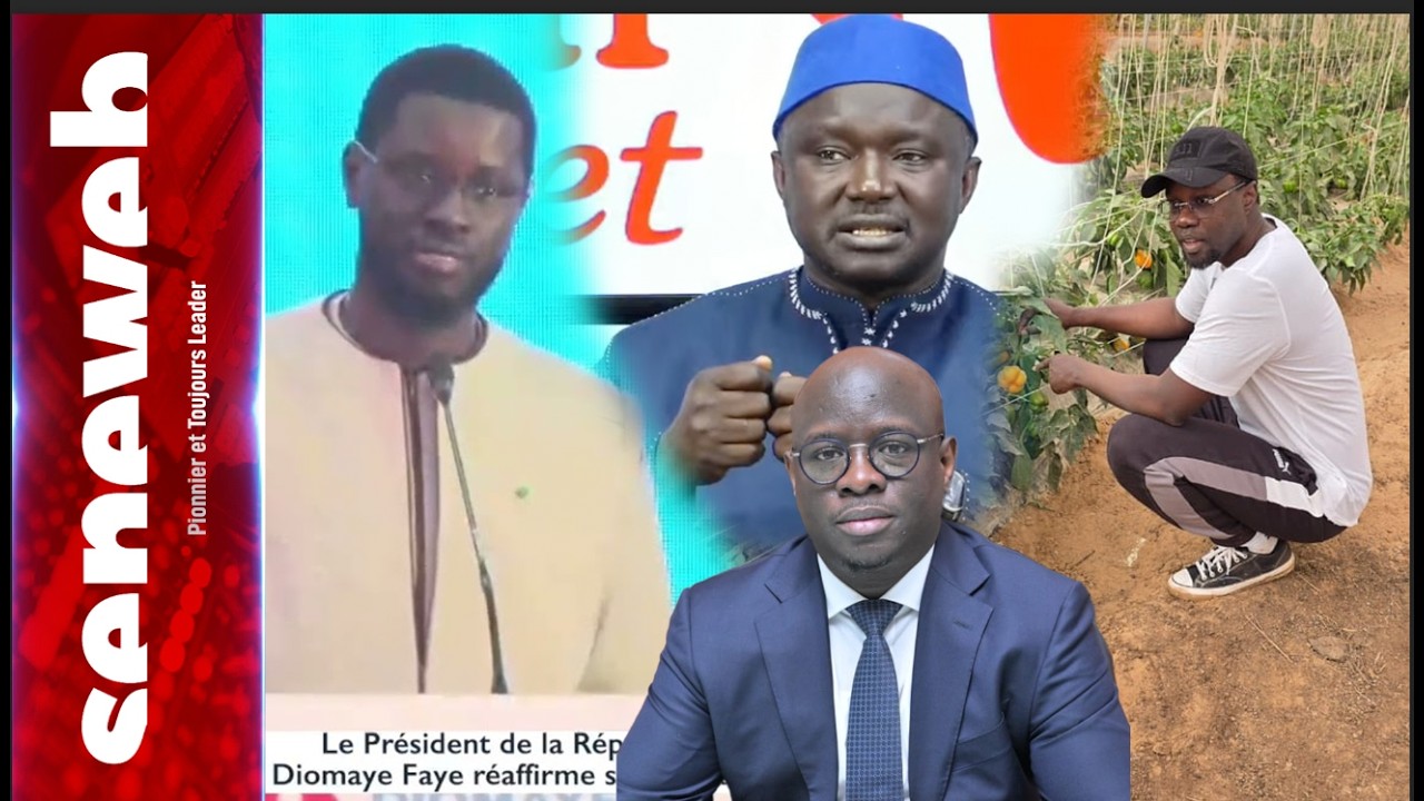 Sonko-Diomaye: Babacar Touré Révèle l'intervention D'une Haute Autorité...