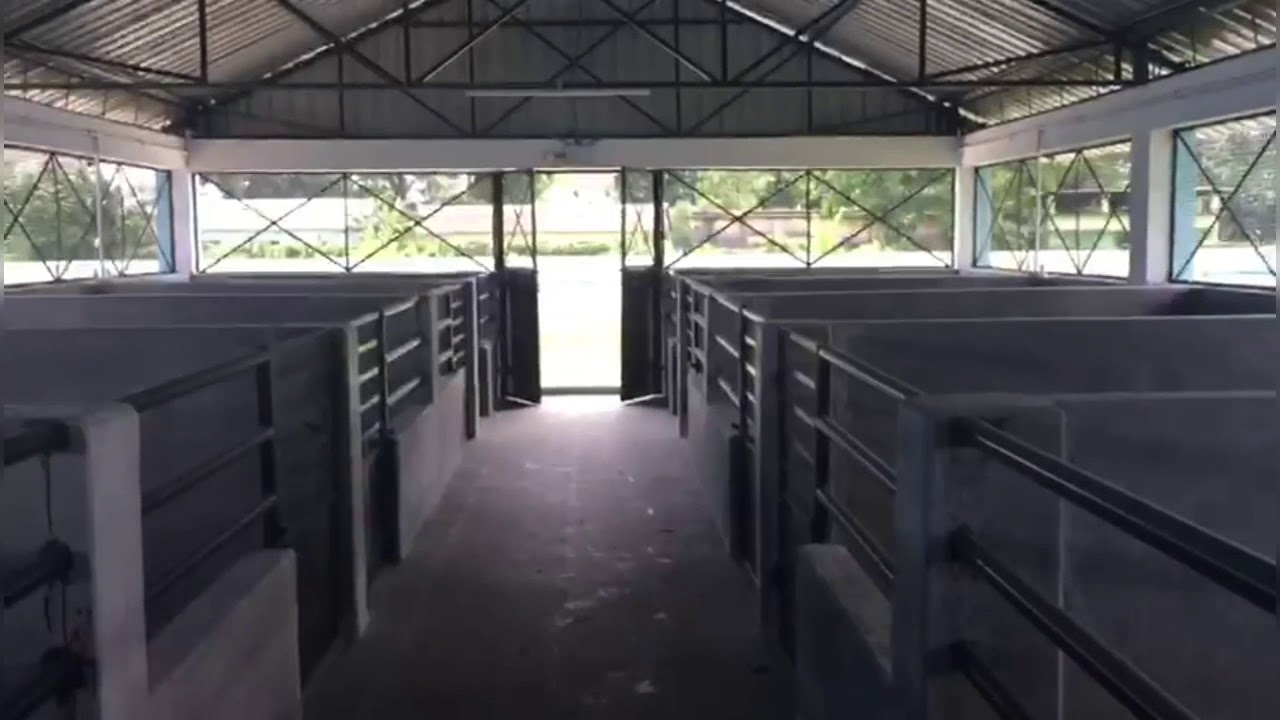 New Pig Farm in Mohitnagar, West Bengal.