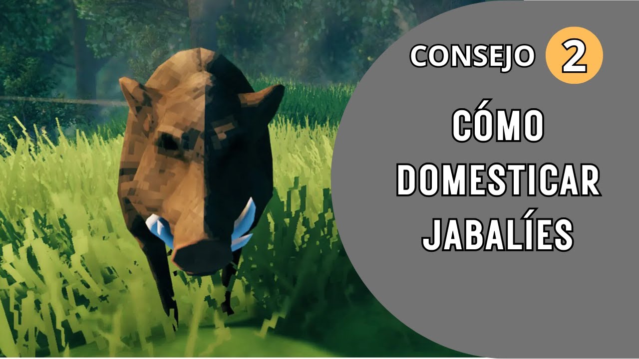 Valheim Consejo 2: CÓMO DOMESTICAR JABALÍES!