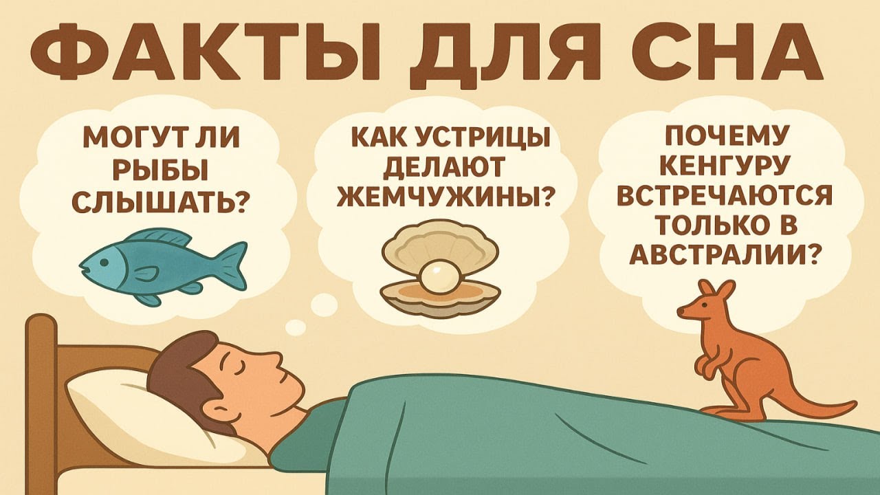Факты для сна: Удивительные и познавательные истории перед сном