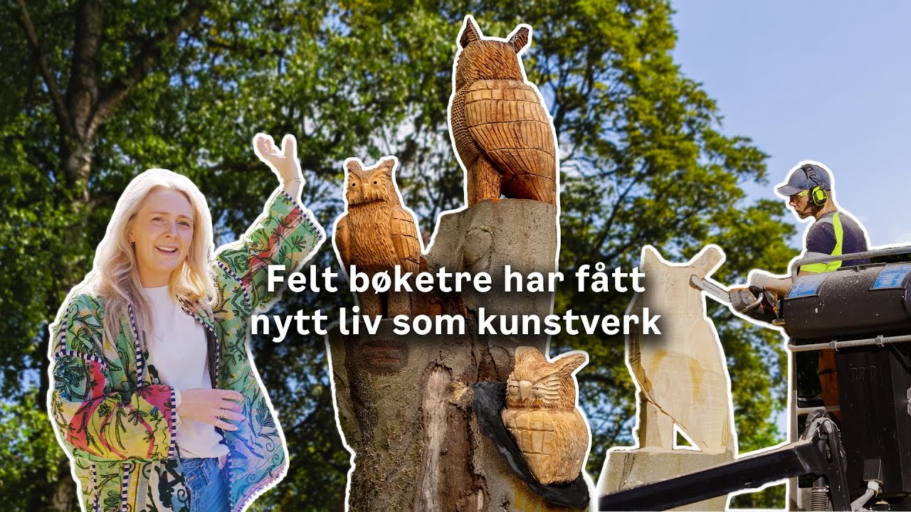 Et gammelt og kjært bøketre måtte felles, men har nå fått nytt liv som kunstverk