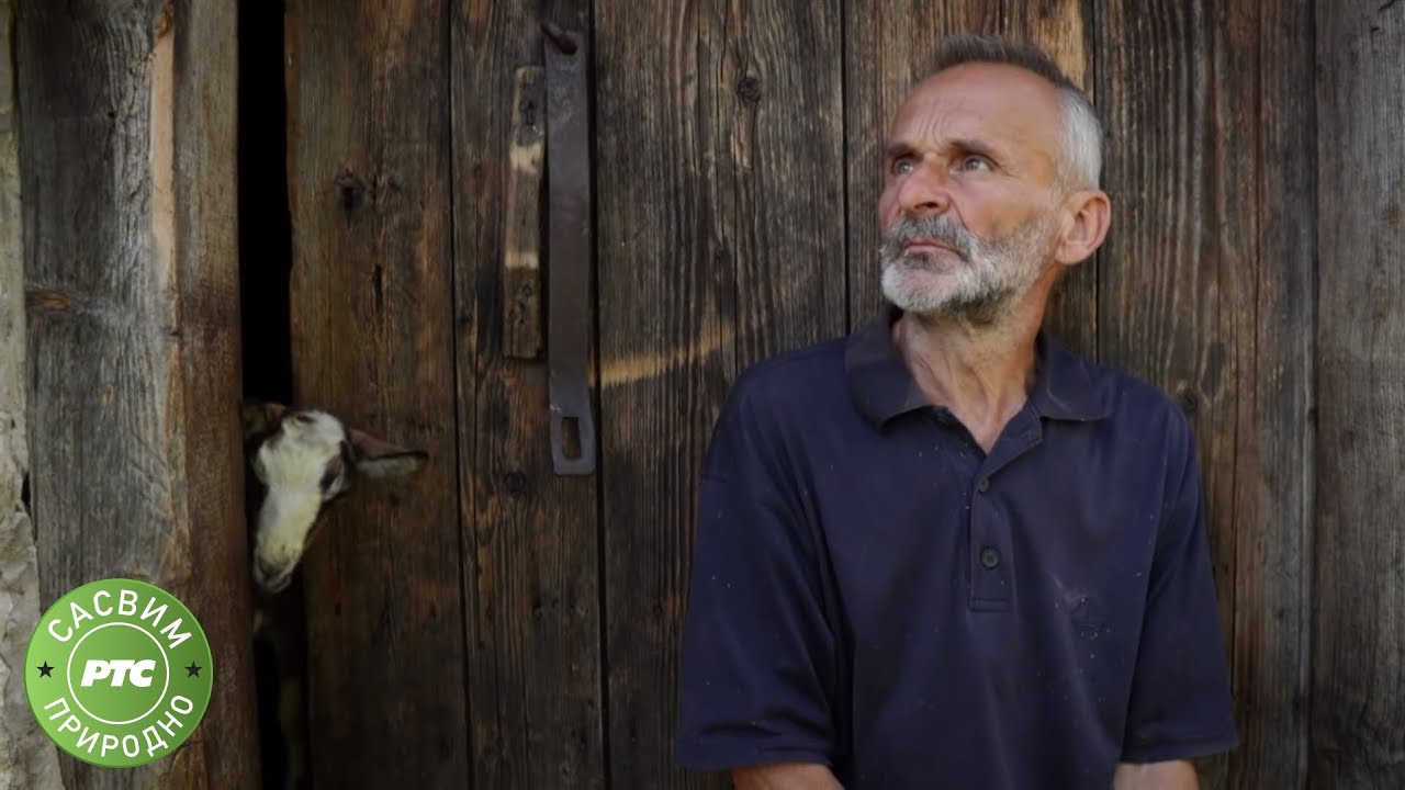Sasvim prirodno: Jagoštica - život na ivici (Jovan Memedović)